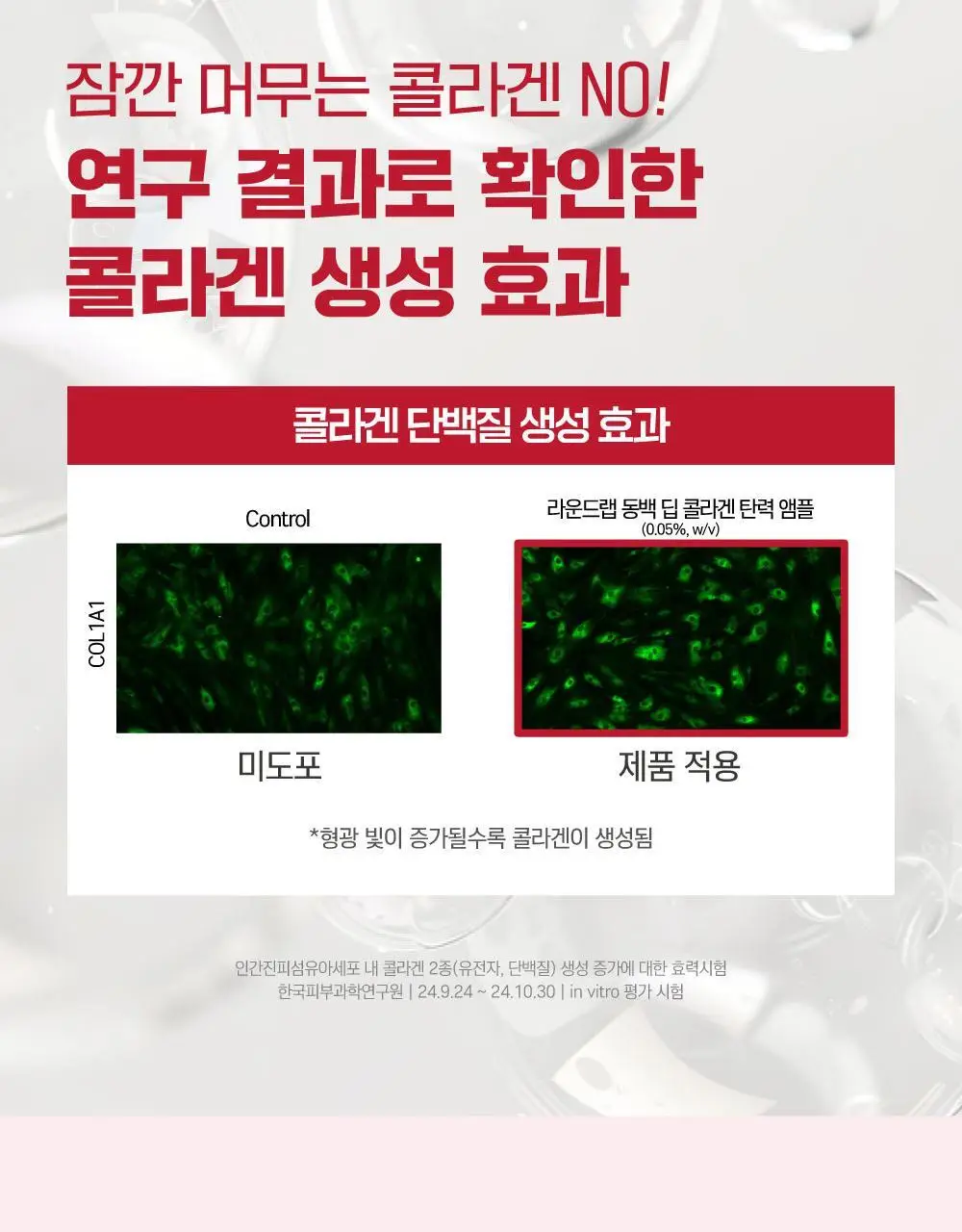 [볼륨탄력] 라운드랩 동백 딥 콜라겐 탄력 앰플 30ml 상세페이지 18
